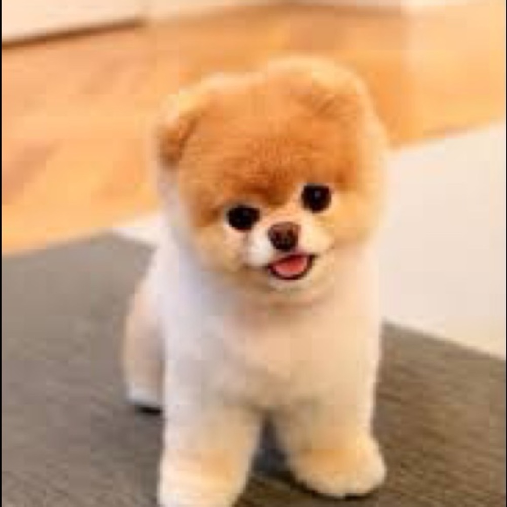 Make me an offer!Everything’s negotiable:)